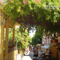 фото из отзыва ID 530378