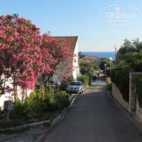 фото из отзыва ID 530442