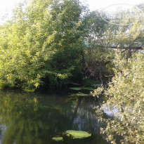 фото из отзыва ID 530769