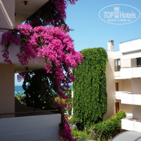 фото из отзыва ID 530066