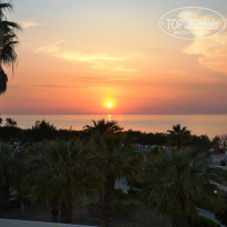 фото из отзыва ID 531213