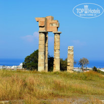 фото из отзыва ID 531213