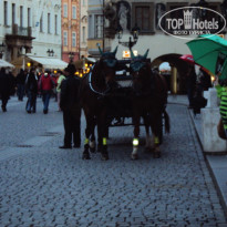 фото из отзыва ID 531300