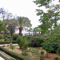 фото из отзыва ID 531620