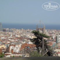 фото из отзыва ID 531887