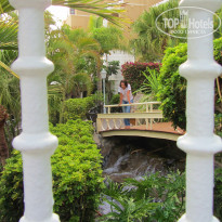 фото из отзыва ID 531973