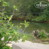 фото из отзыва ID 533031