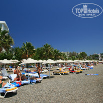 фото из отзыва ID 533036