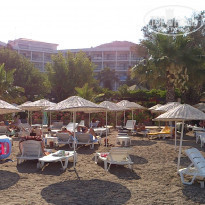 фото из отзыва ID 533036