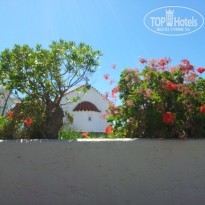 фото из отзыва ID 533079