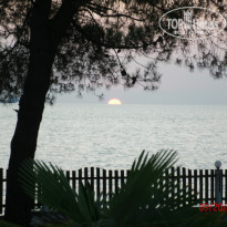 фото из отзыва ID 533261