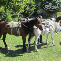 фото из отзыва ID 533261