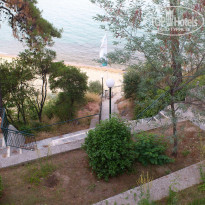 фото из отзыва ID 533330