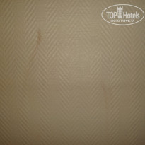 фото из отзыва ID 533772