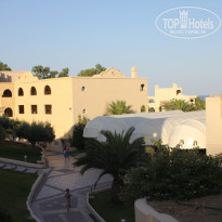 фото из отзыва ID 533823