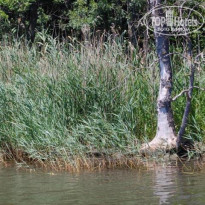 фото из отзыва ID 533416