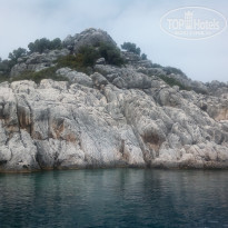 фото из отзыва ID 533760