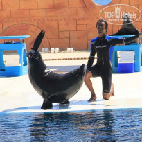 фото из отзыва ID 534304