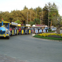 фото из отзыва ID 534929