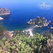 фото из отзыва ID 534018