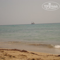 фото из отзыва ID 535525