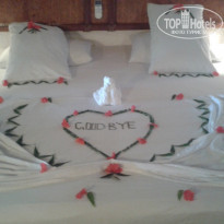 фото из отзыва ID 535687