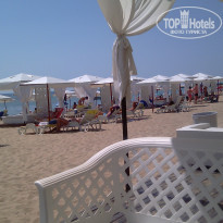 фото из отзыва ID 535541