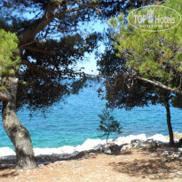 фото из отзыва ID 535980