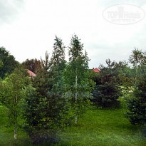 фото из отзыва ID 536030