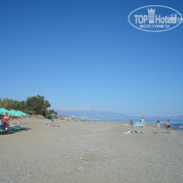 фото из отзыва ID 536040