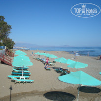 фото из отзыва ID 536040