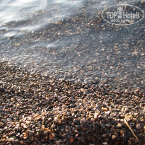 фото из отзыва ID 536046