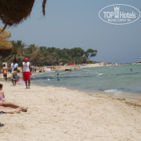 фото из отзыва ID 536162