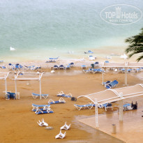 фото из отзыва ID 536311