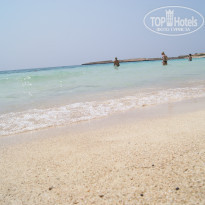 фото из отзыва ID 536312