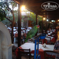 фото из отзыва ID 536412