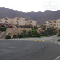 фото из отзыва ID 536499