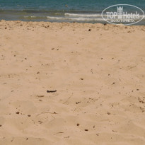 фото из отзыва ID 536522