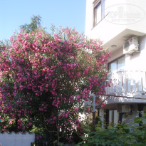 фото из отзыва ID 536542