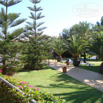 фото из отзыва ID 536676