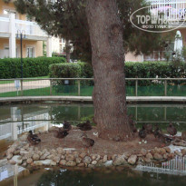 фото из отзыва ID 536676