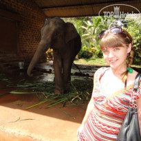 фото из отзыва ID 536773