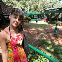 фото из отзыва ID 536773