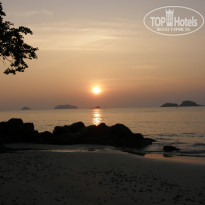 фото из отзыва ID 536878