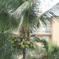 фото из отзыва ID 536909