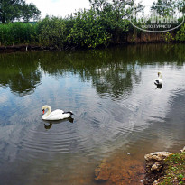 фото из отзыва ID 536030