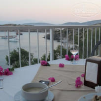 фото из отзыва ID 536200