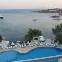 фото из отзыва ID 536200