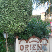 фото из отзыва ID 537042