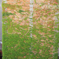 фото из отзыва ID 537103